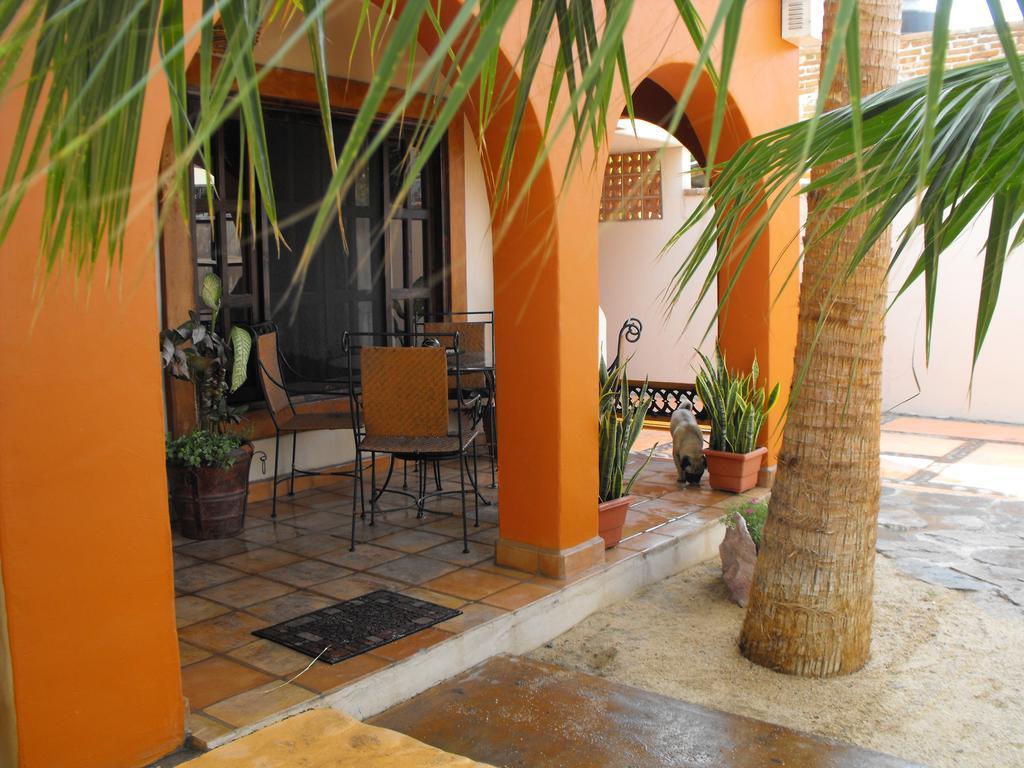 ホテル Leo'S Baja Oasis ラパス 部屋 写真
