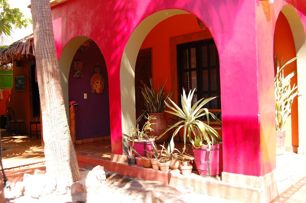 ホテル Leo'S Baja Oasis ラパス エクステリア 写真