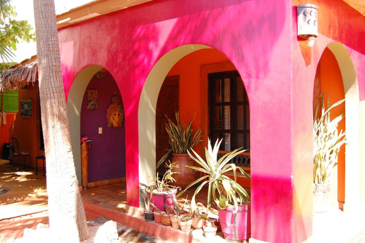 ホテル Leo'S Baja Oasis ラパス エクステリア 写真