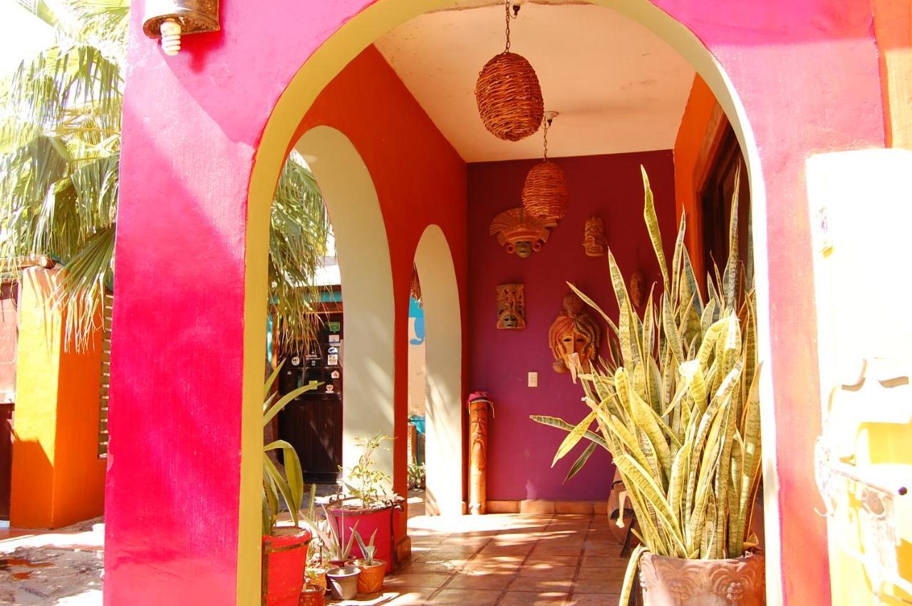 ホテル Leo'S Baja Oasis ラパス エクステリア 写真